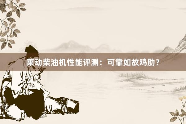 莱动柴油机性能评测：可靠如故鸡肋？